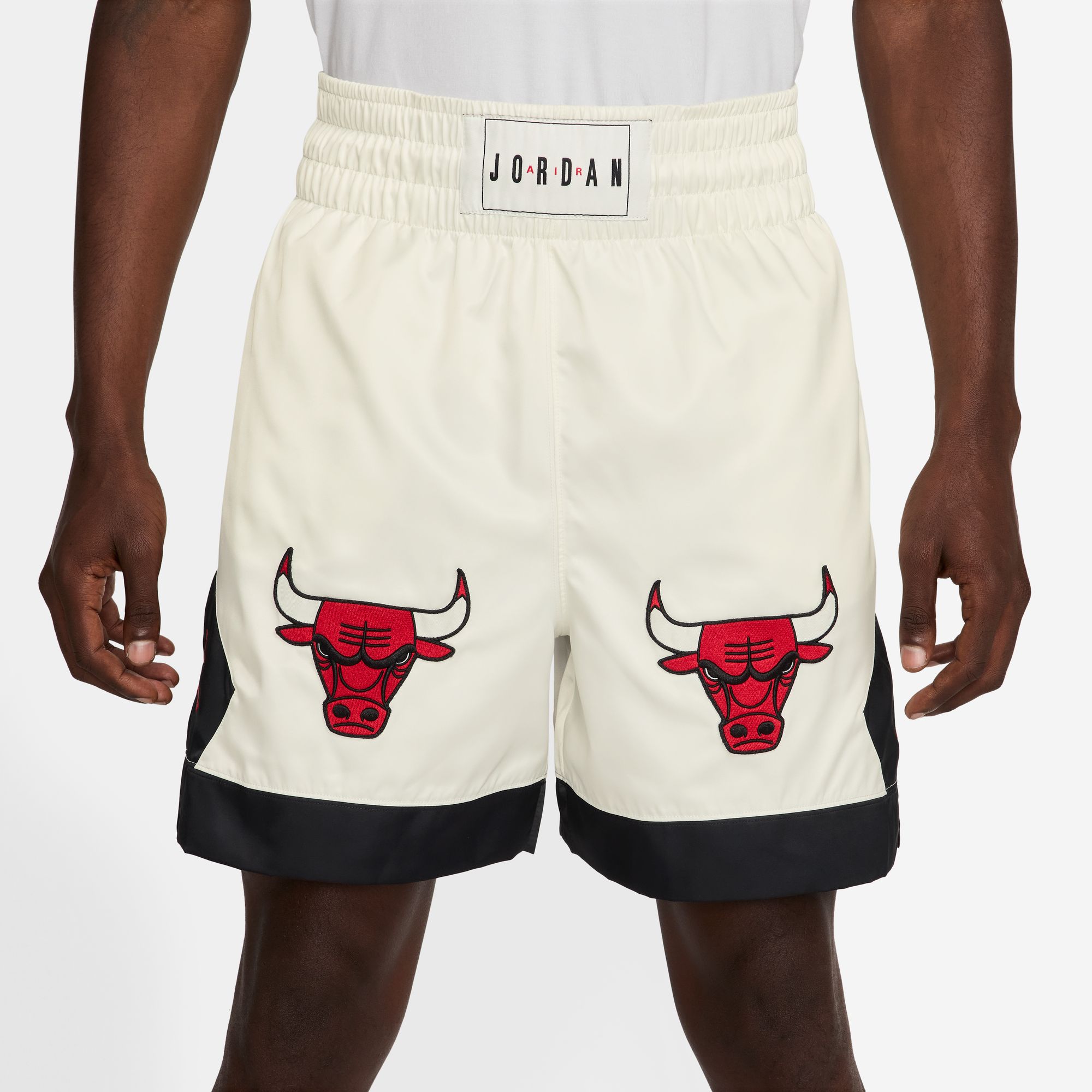 Jordan Flight image number null