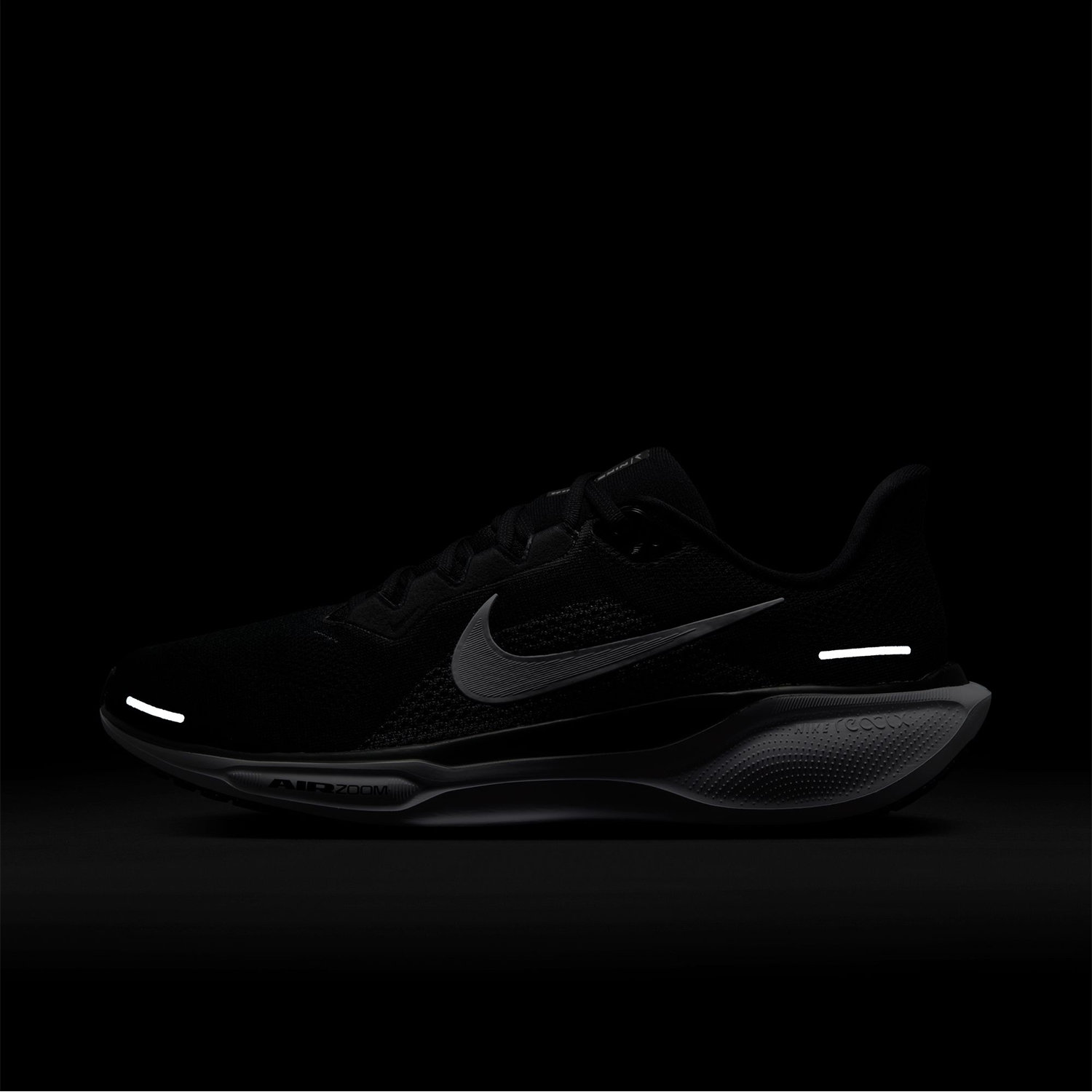 PEGASUS 41 image number null