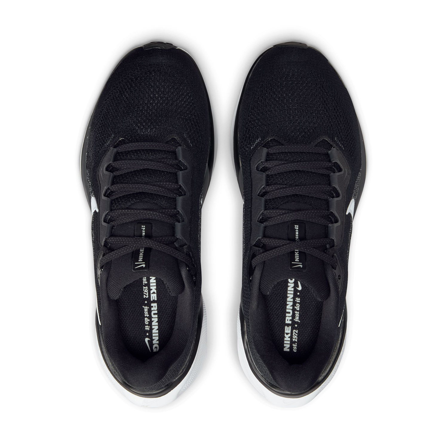 NIKE PEGASUS 41 image number null