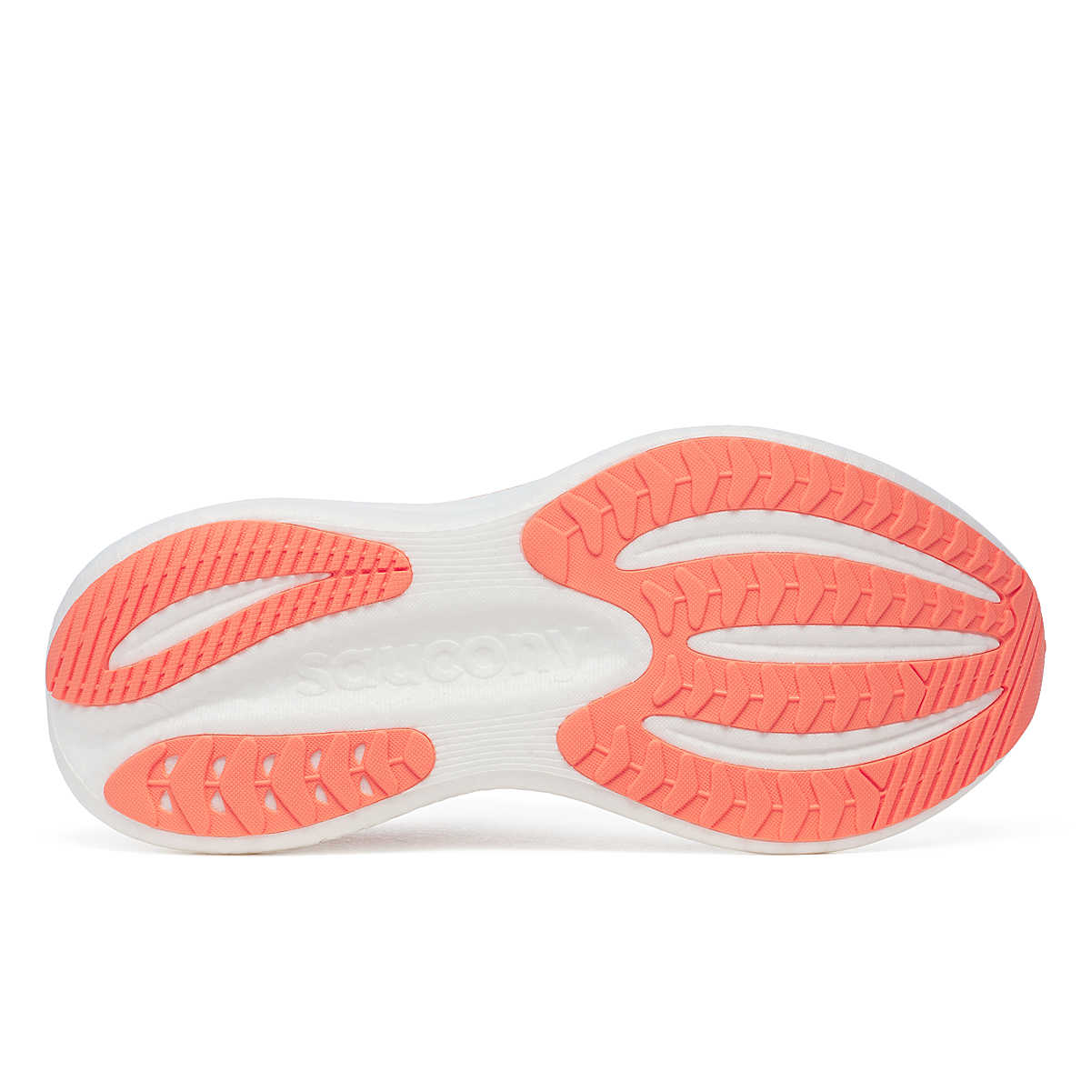 TRIUMPH 23 image number null