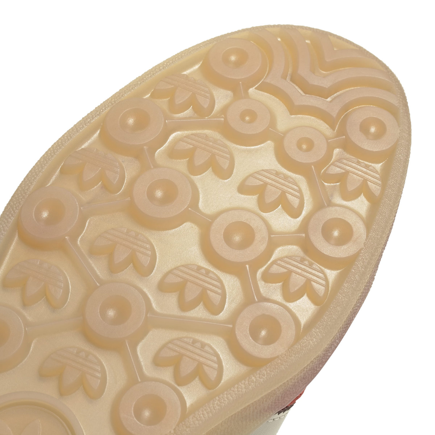 GAZELLE INDOOR image number null