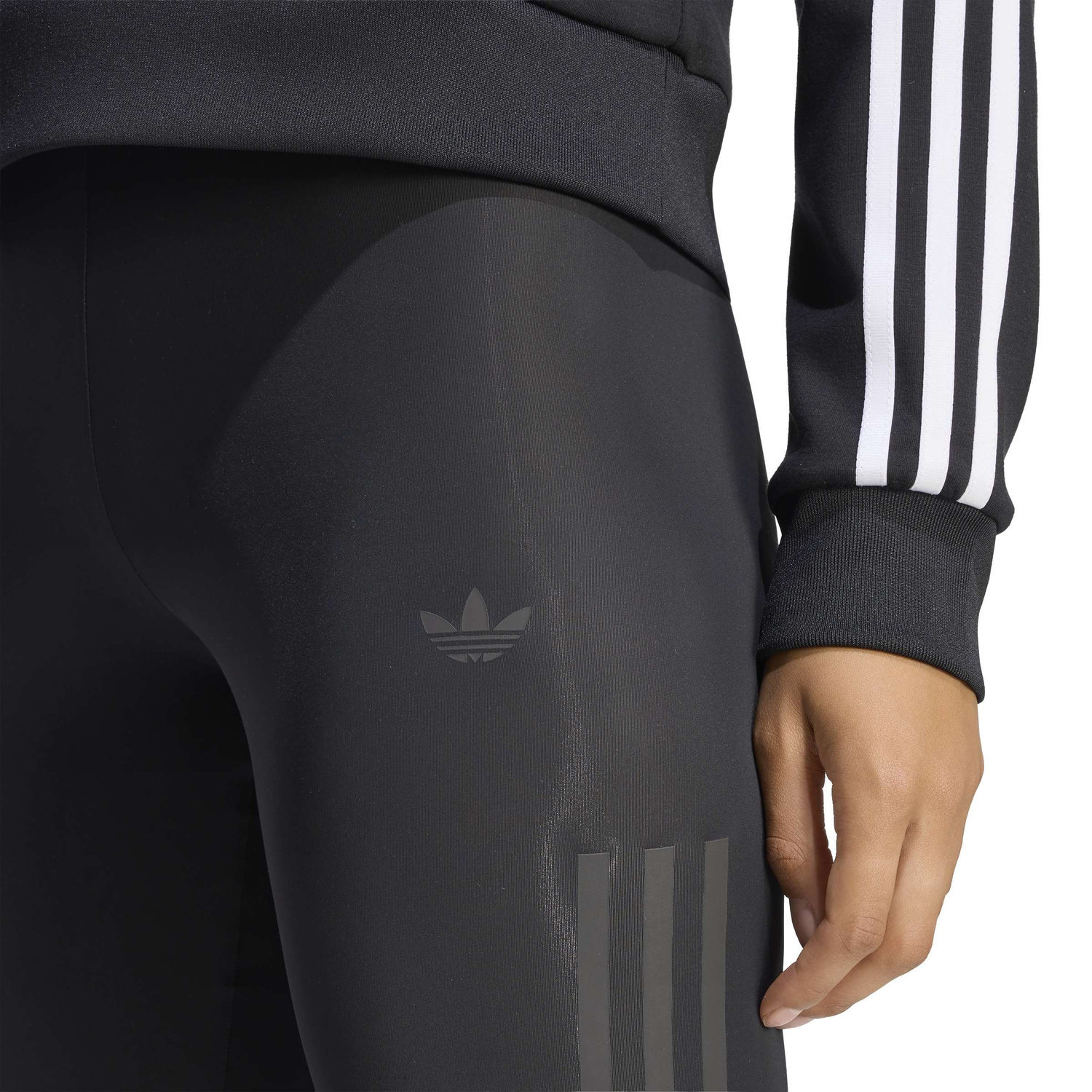 SHEER LEGGINGS image number null