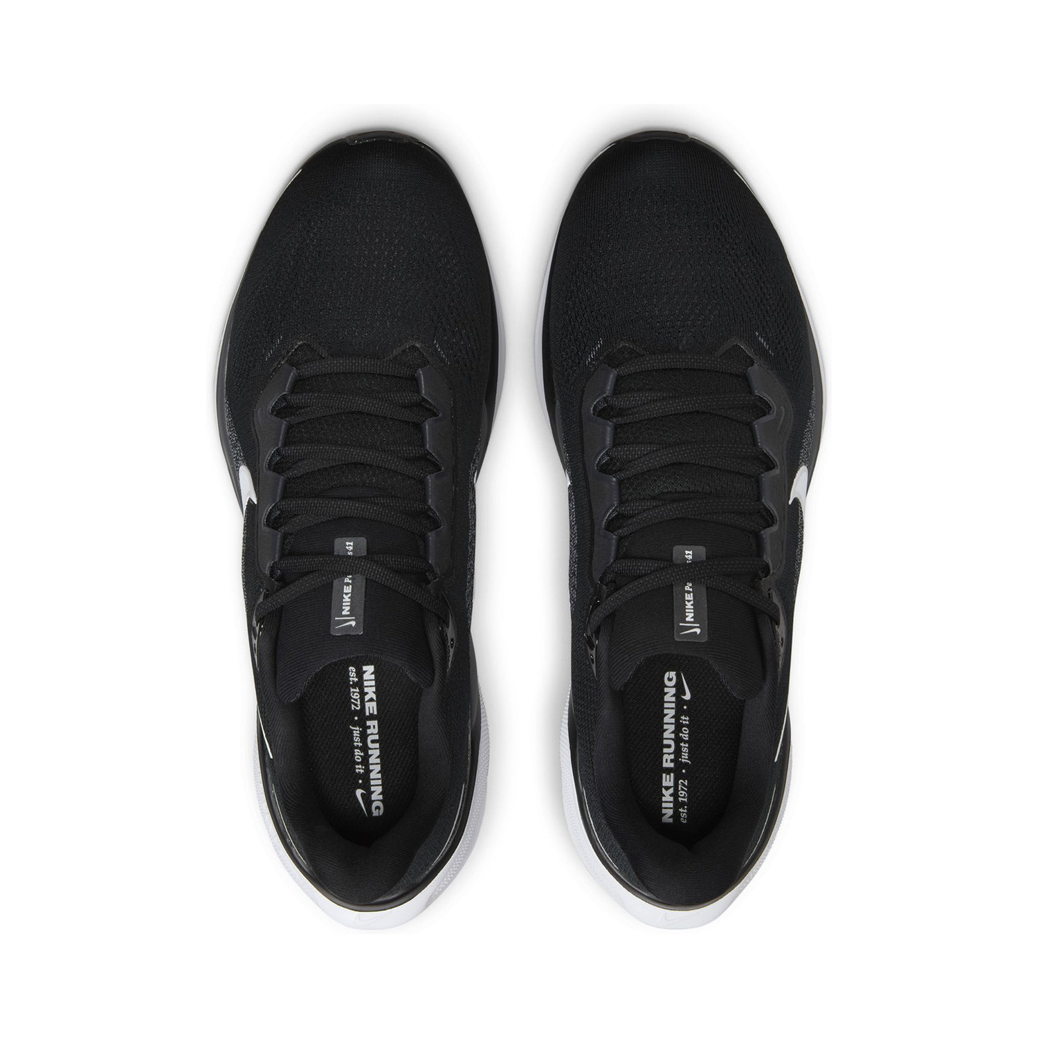 PEGASUS 41 image number null