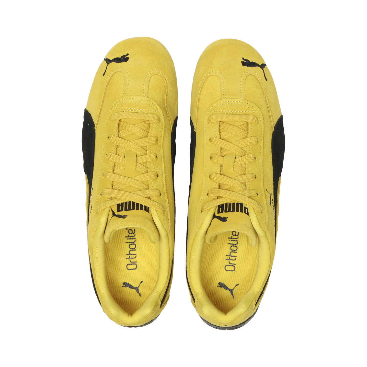 SPEEDCAT OG image number null