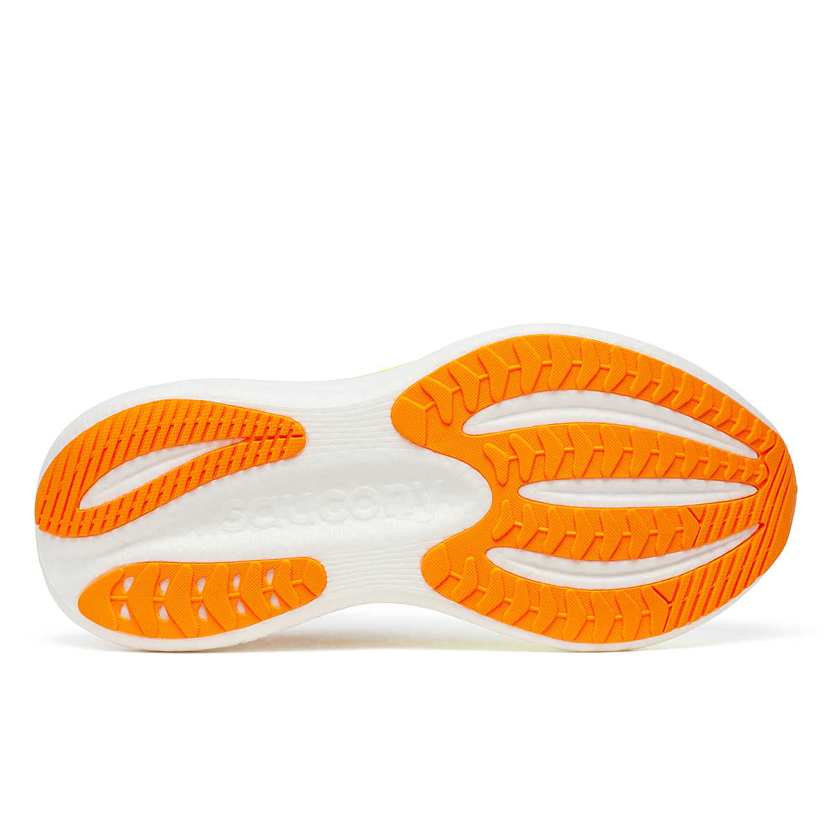 TRIUMPH 23 image number null