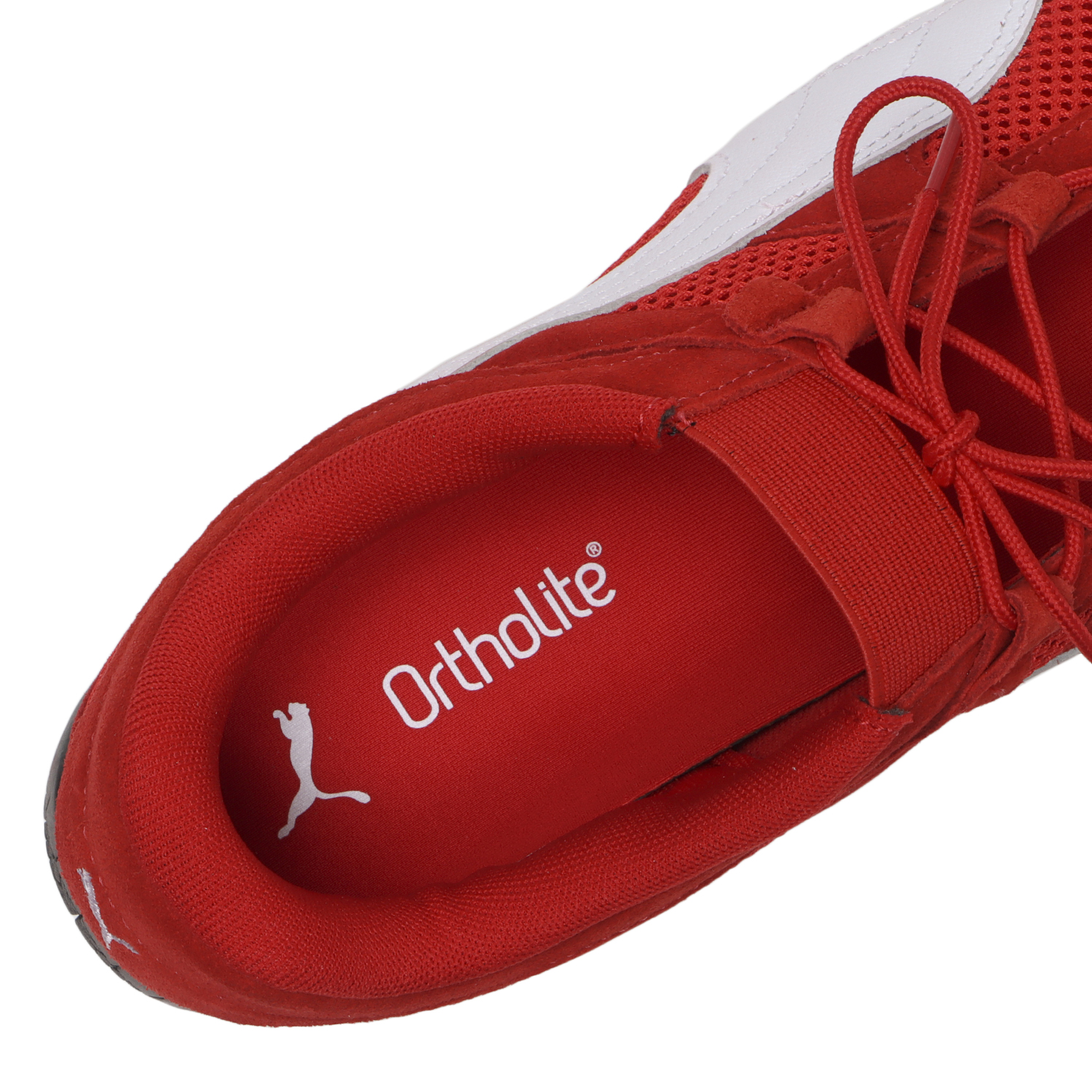 SPEEDCAT GO WNS image number null