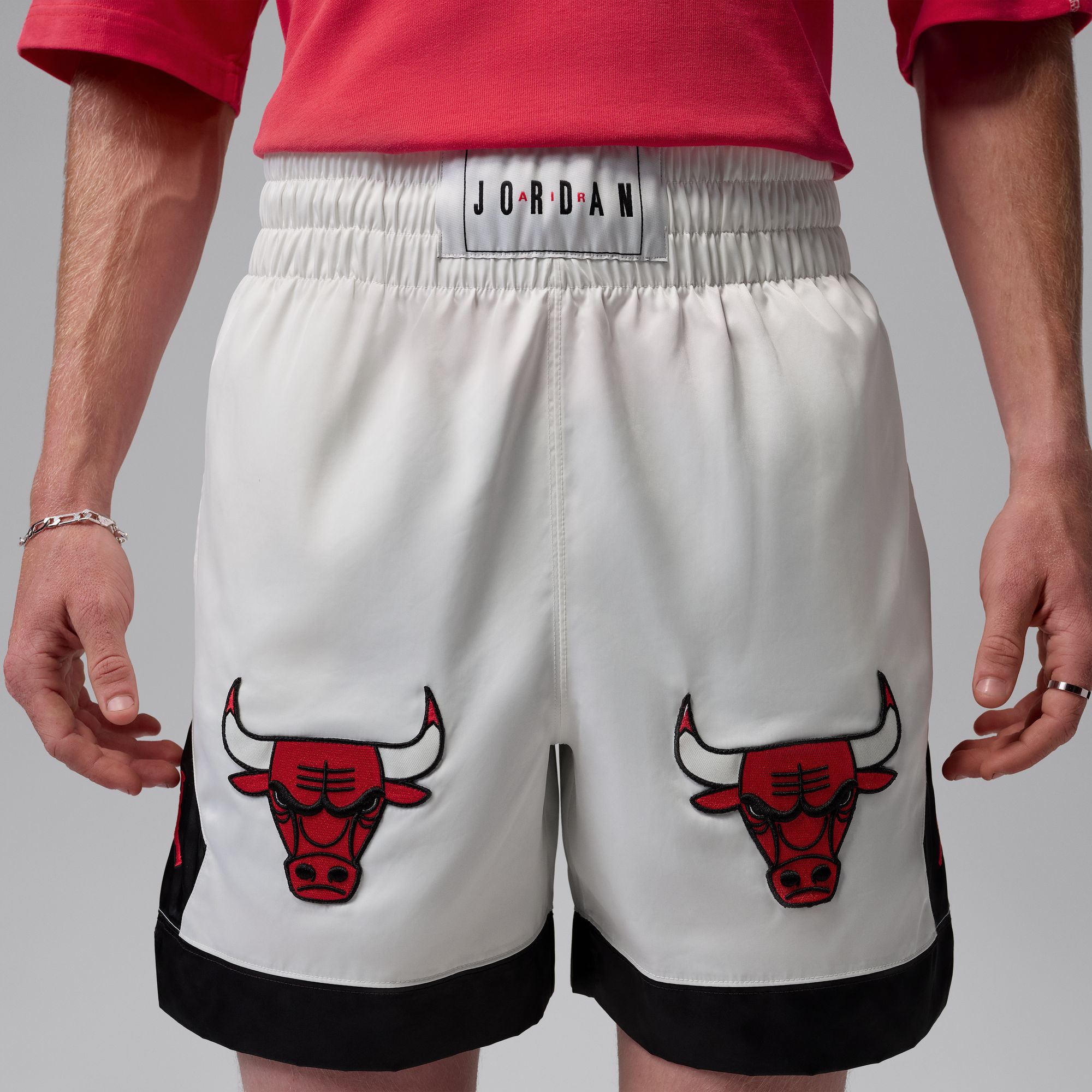 Jordan Flight image number null