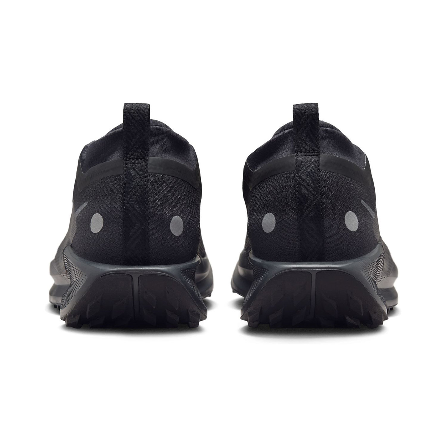 PEGASUS 41 image number null