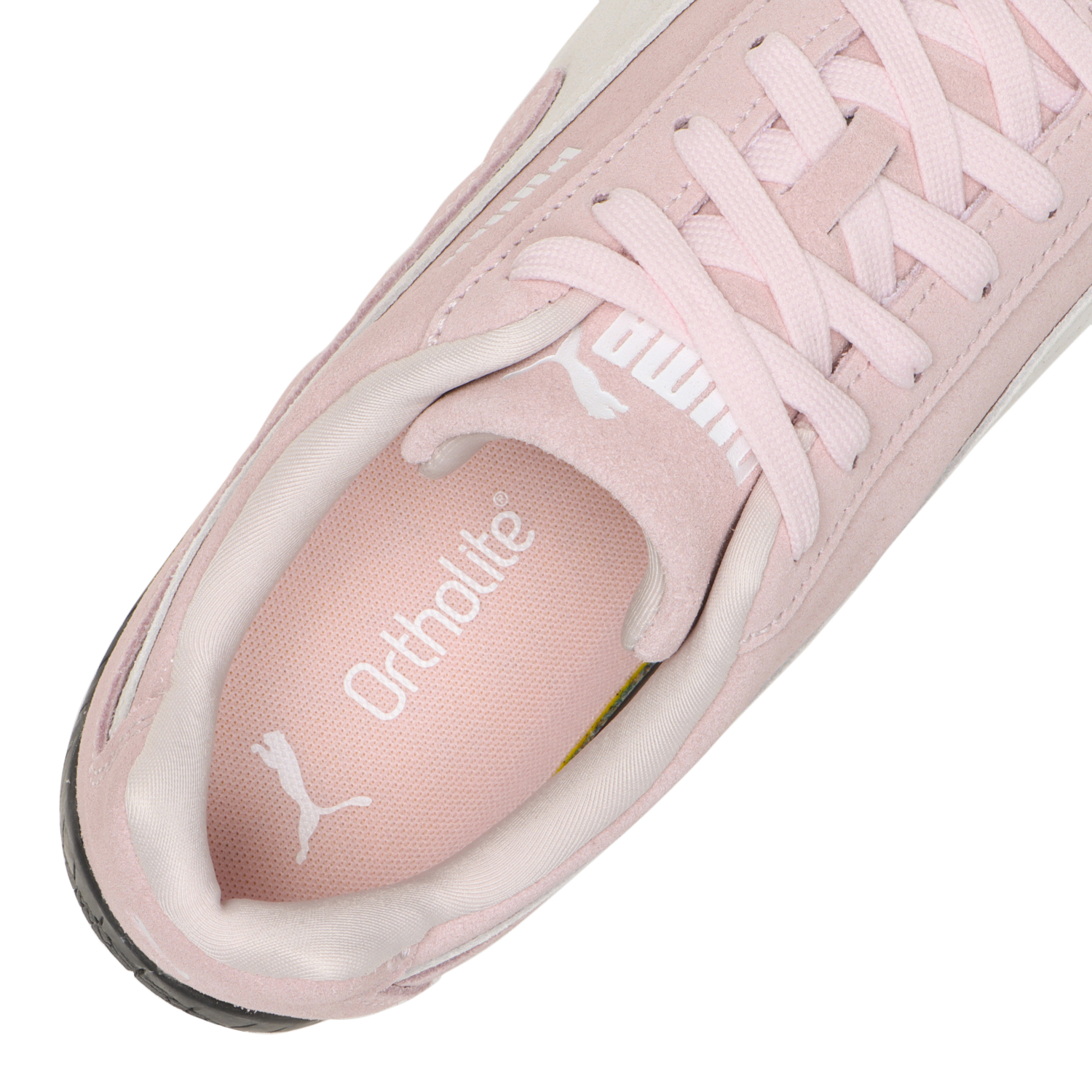 SPEEDCAT OG image number null