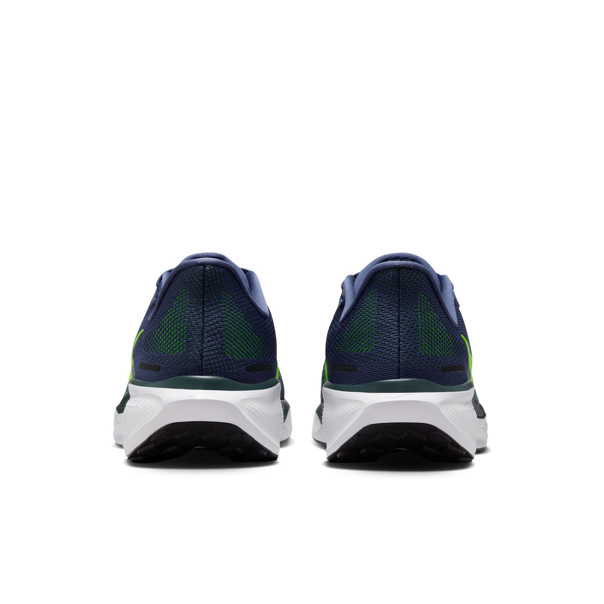 PEGASUS 41 image number null