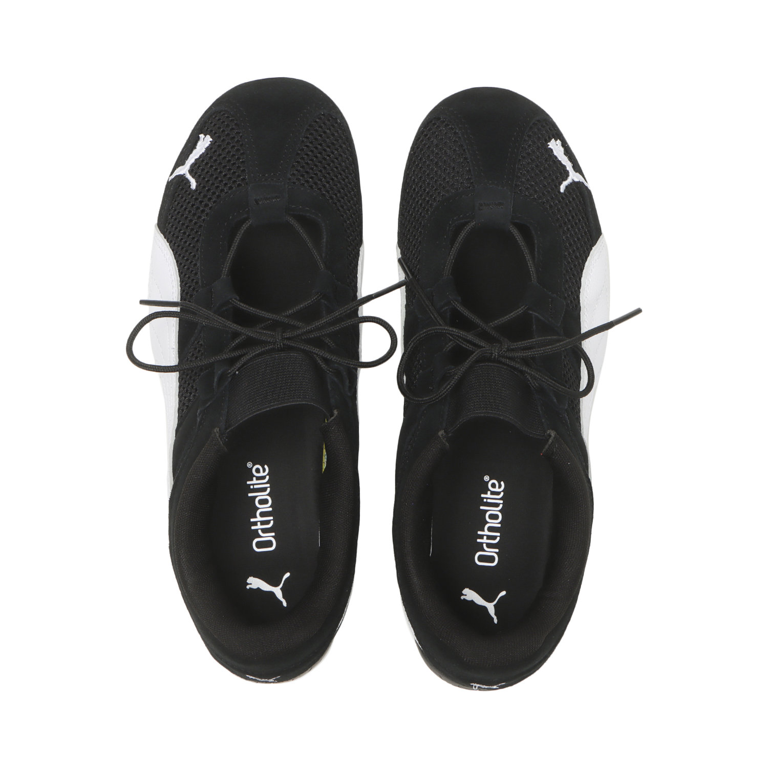 SPEEDCAT GO WNS image number null