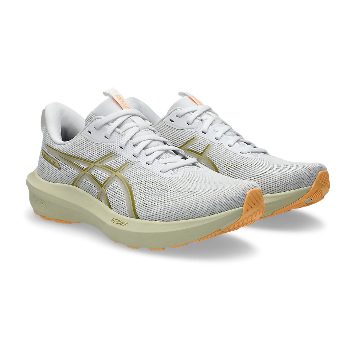 GT-1000 14 image number null