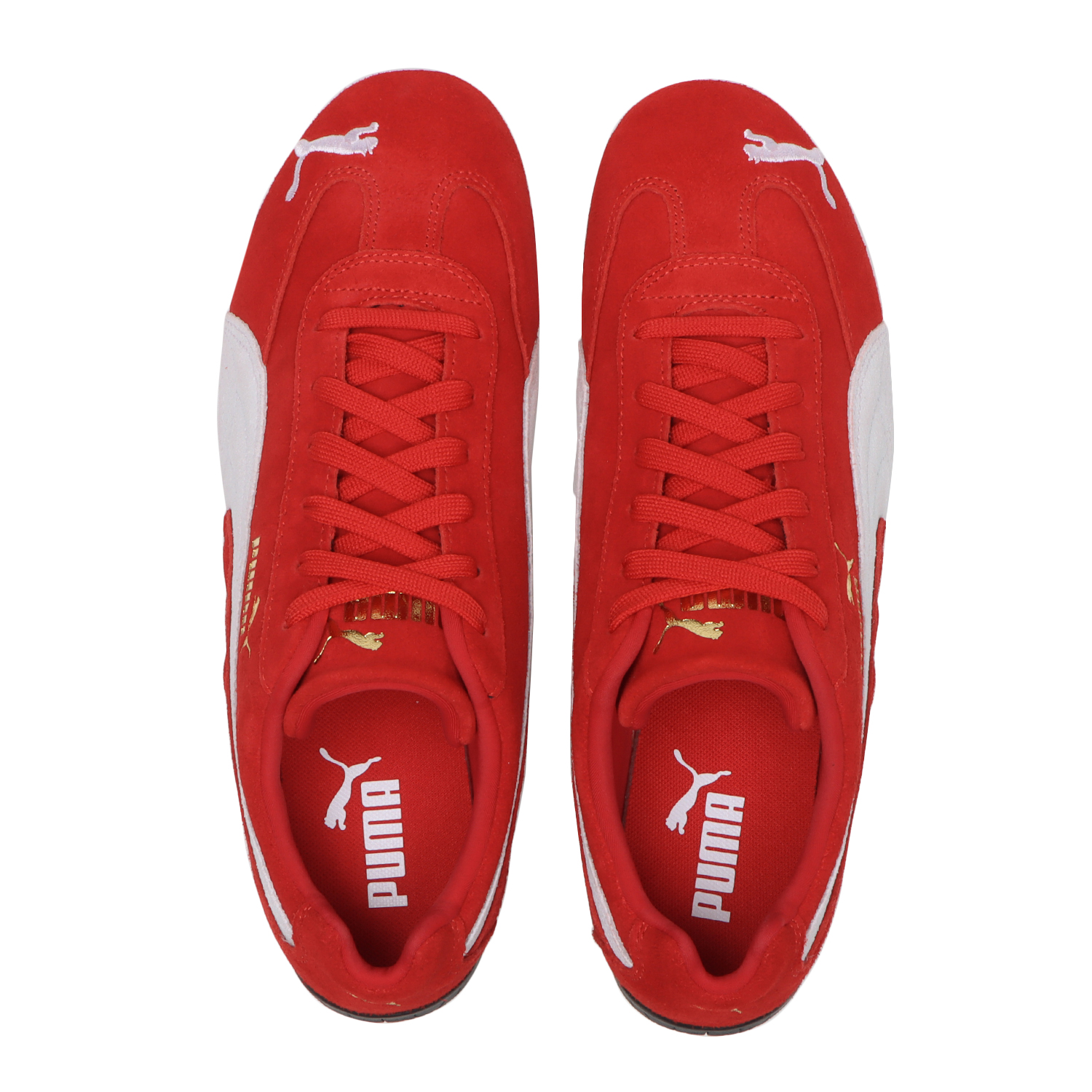 SPEEDCAT OG image number null