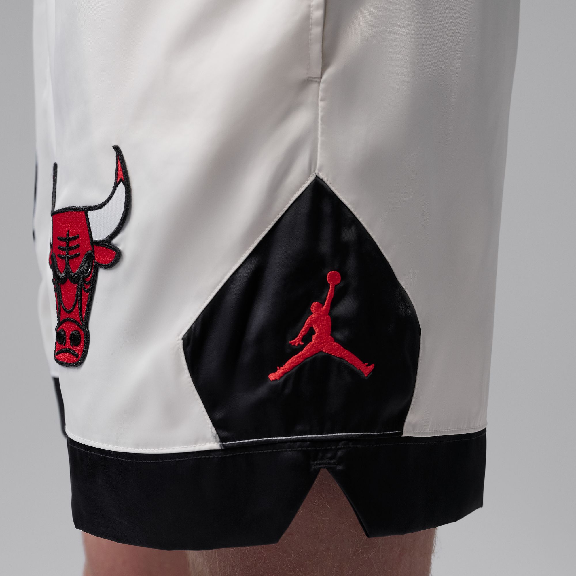 Jordan Flight image number null