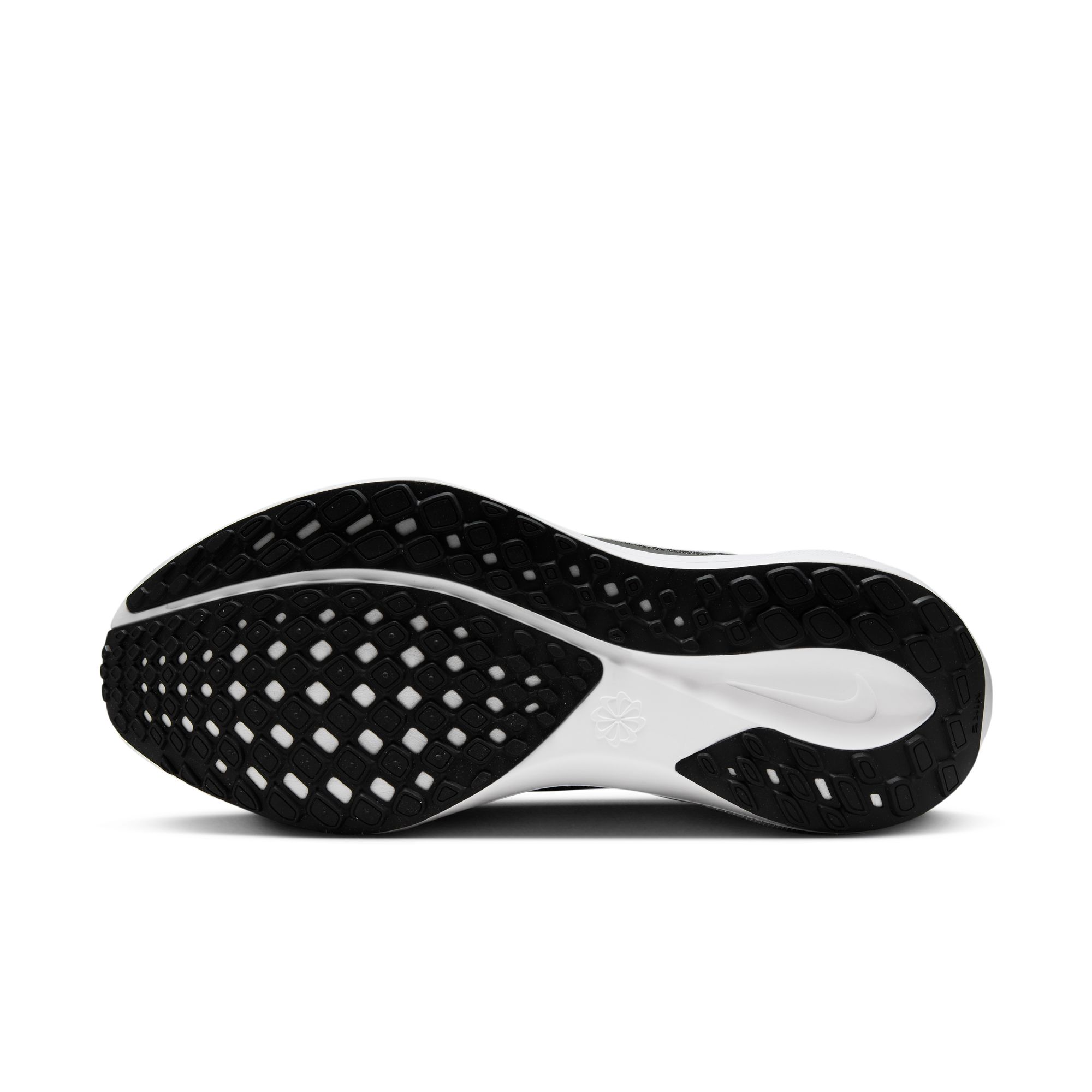 PEGASUS 41 image number null