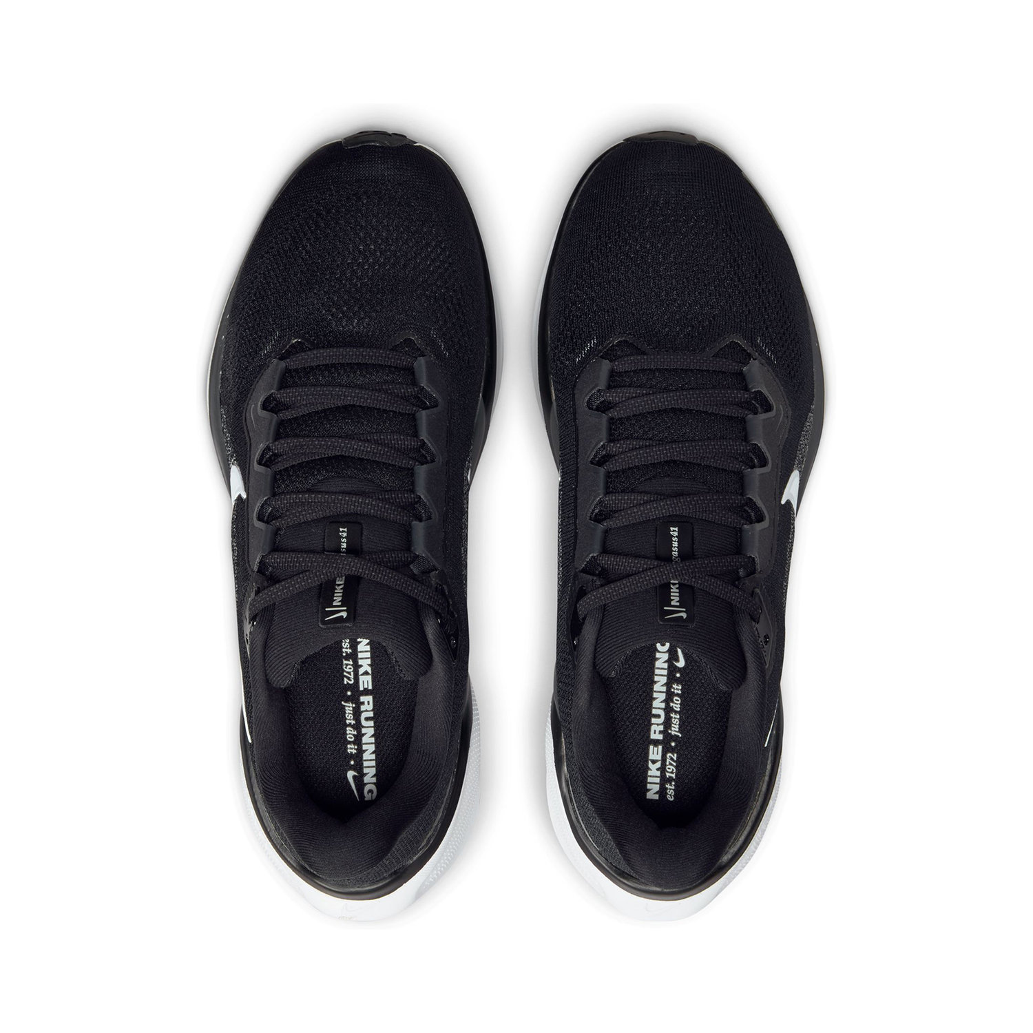 NIKE PEGASUS 41 image number null