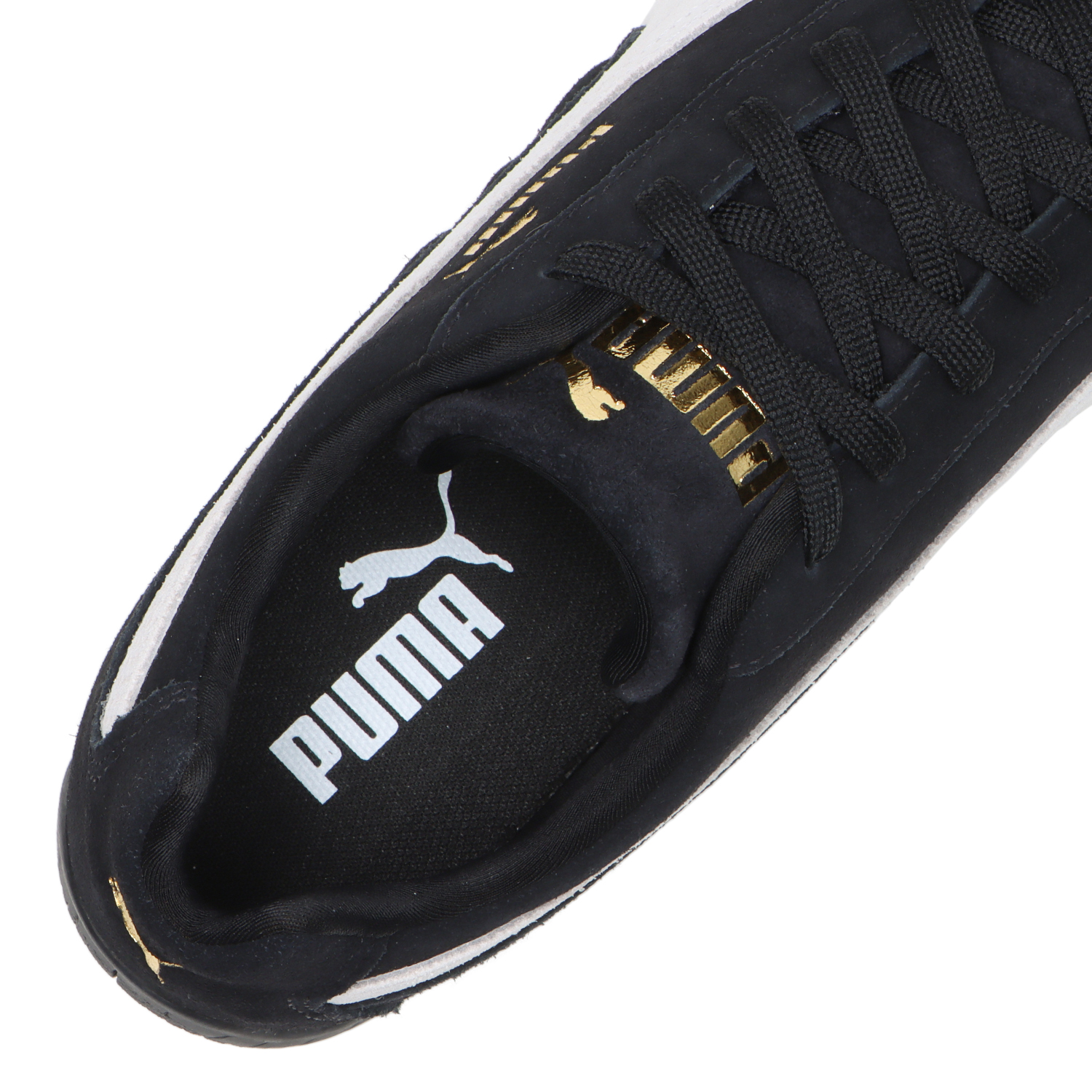 SPEEDCAT OG image number null