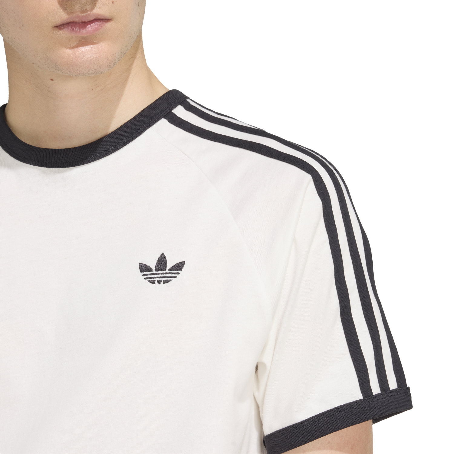 3S TEE image number null