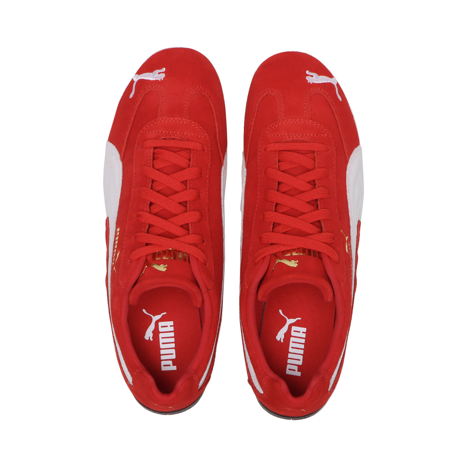 SPEEDCAT OG image number null