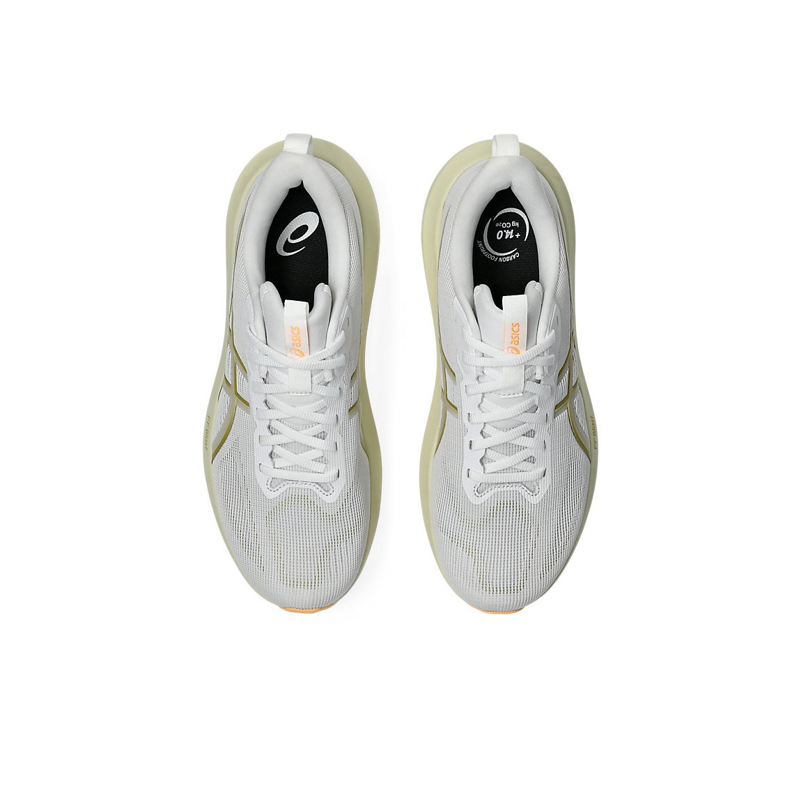 GT-1000 14 image number null