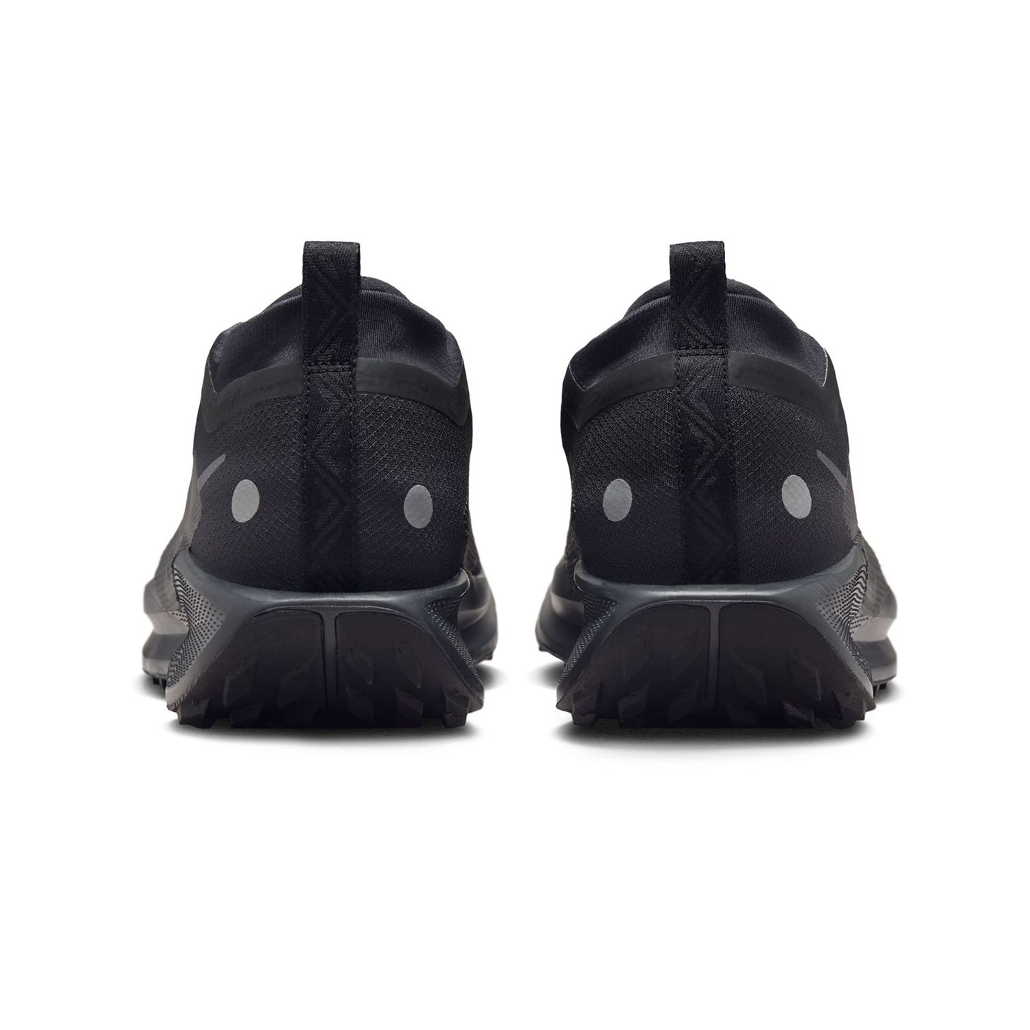 PEGASUS 41 image number null